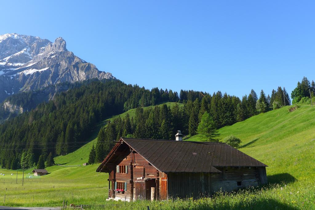 Villa Hami Adelboden Habitación foto
