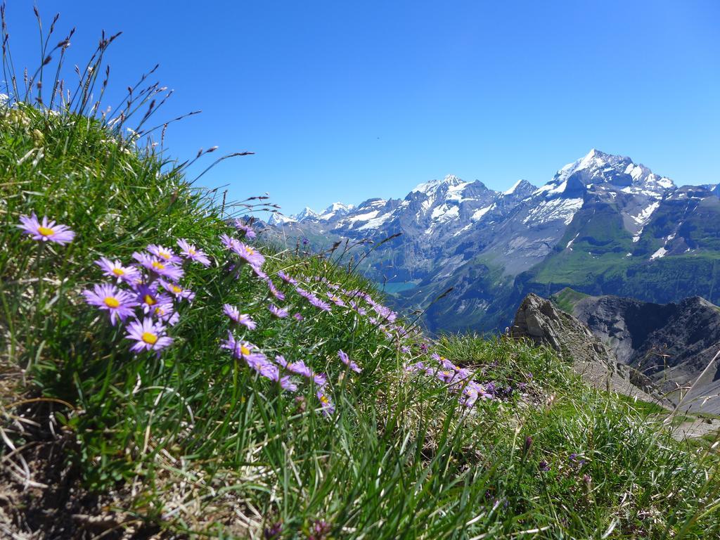 Villa Hami Adelboden Habitación foto
